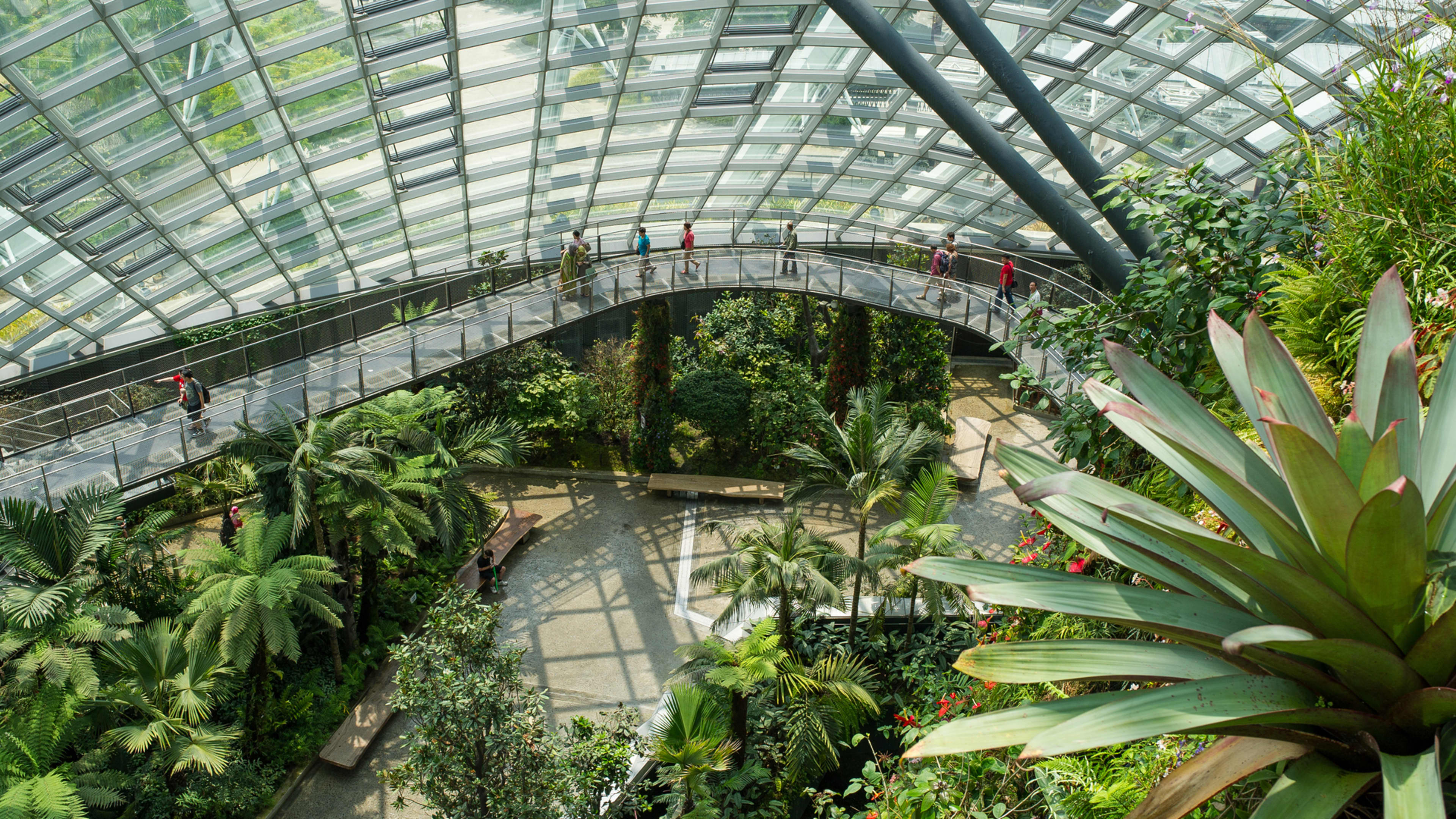 Gardens by the Bay Flower Dome and Cloud Forest Go City®